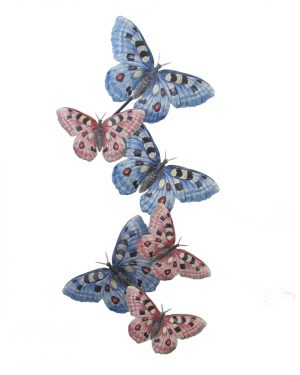 APLIQUE 6 MARIPOSAS PARED