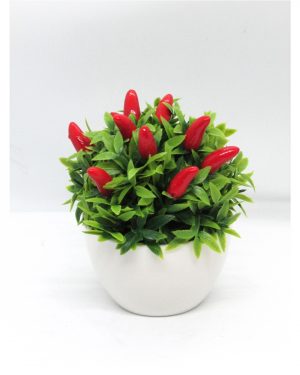 AJIES ROJOS MACETA BLANCA