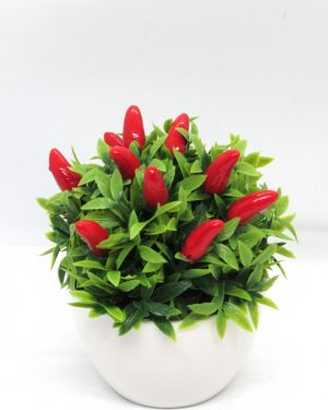 AJIES ROJOS MACETA BLANCA