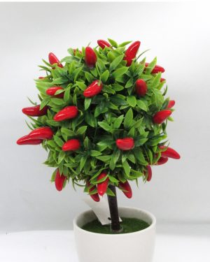BONSAI AJIES ROJOS MACETA BLANCA