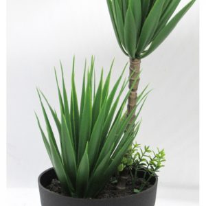 PALMERA BONSAI MACETA NEGRA