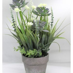 FLORES PURPURA CON MACETA BICOLOR