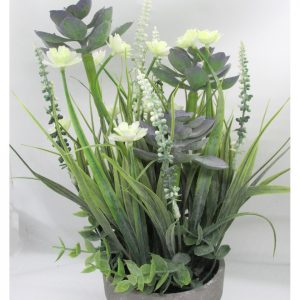 FLORES PURPURA CON MACETA BICOLOR