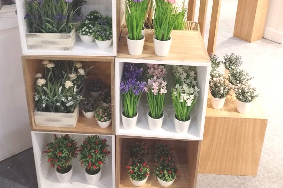 PLANTITAS