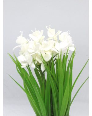 ORQUIDEAS BLANCAS