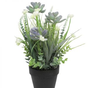 FLORES PURPURA CON MACETA NEGRA