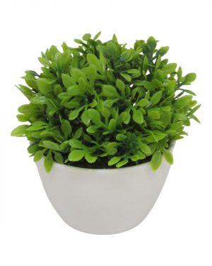 ARBUSTO MINI MACETA BLANCA