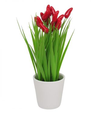 PENACHO ROJO CON MACETA