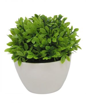 ARBUSTO MINI MACETA BLANCA