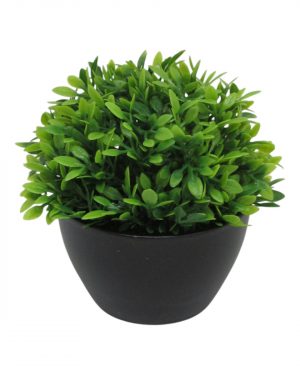 ARBUSTO MINI MACETA NEGRA