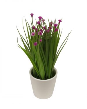 FLOR PURPURA SILVESTRE
