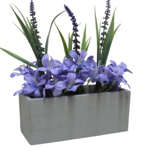 CANTERO ALEGRIA PURPURAS