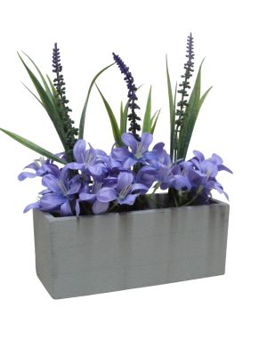 CANTERO ALEGRIA PURPURAS