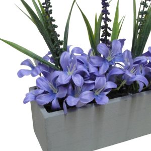 CANTERO ALEGRIA PURPURAS