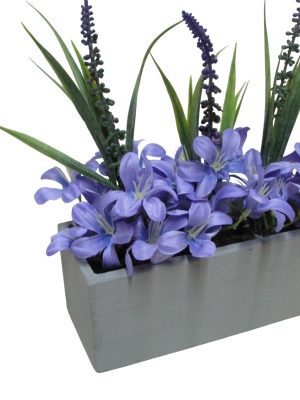 CANTERO ALEGRIA PURPURAS