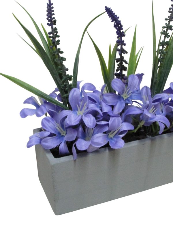CANTERO ALEGRIA PURPURAS - Imagen 2