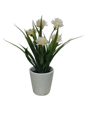 FLORES «BUTTER»