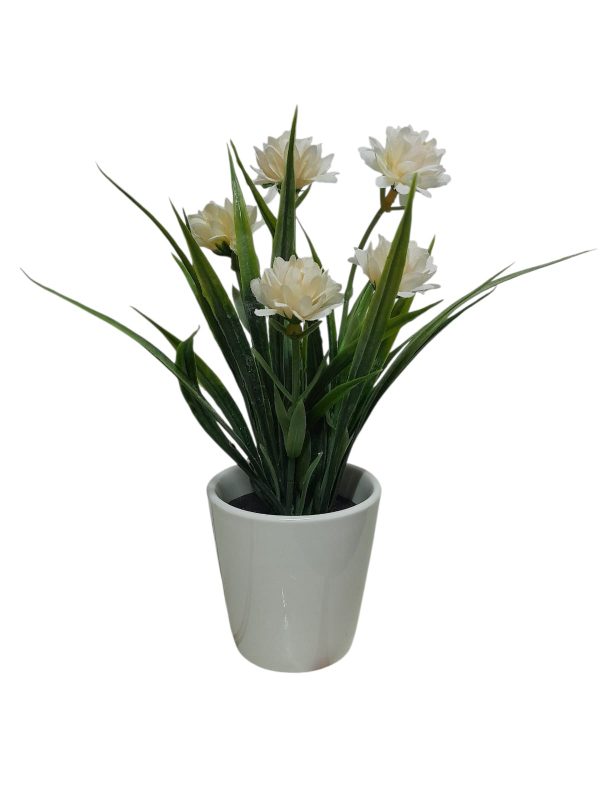 FLORES "BUTTER"