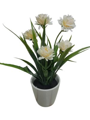 FLORES «BUTTER»
