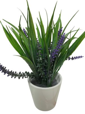 LAVANDA LILA