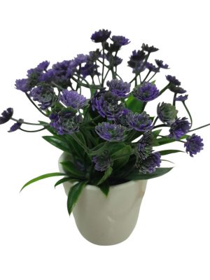 FLOR SILVESTRE LIA