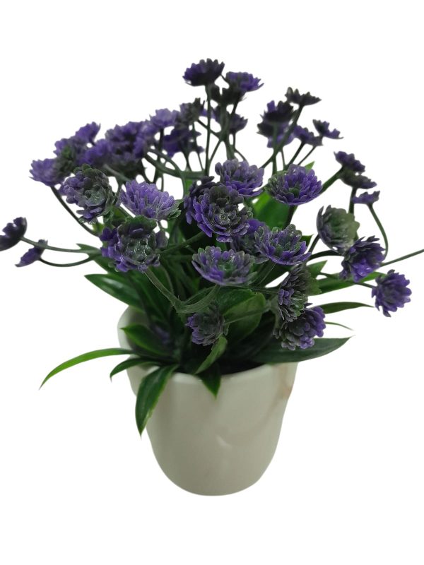 FLOR SILVESTRE LIA - Imagen 2