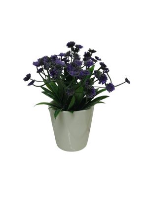 FLOR SILVESTRE LIA