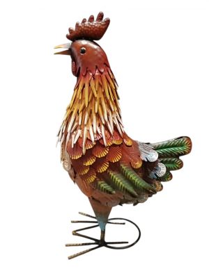 GALLINA COLORADA