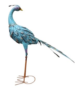 PAVO REAL