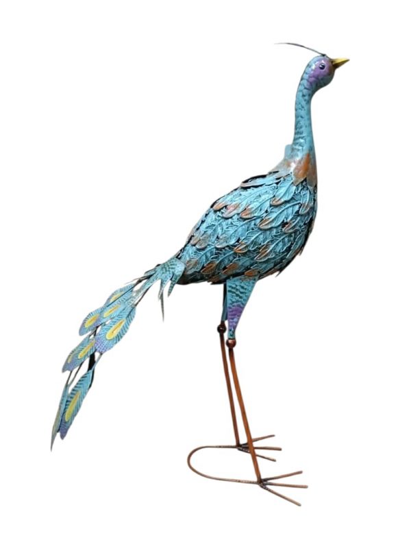 PAVO REAL