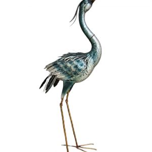 GARZA MIRANDO ARRIBA