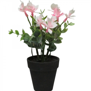 ORQUIDEAS ROSADAS CON MACETA NEGRA