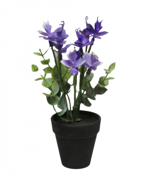 ORQUIDEAS LILA CON MACETA NEGRA