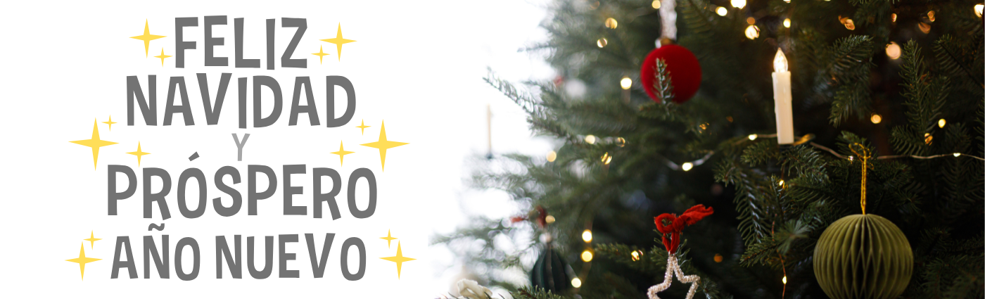 Copia de BANNER PAGINA (3)