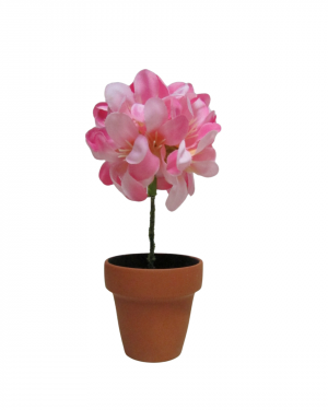 FRESNO MINI , MACETA TERRACOTA