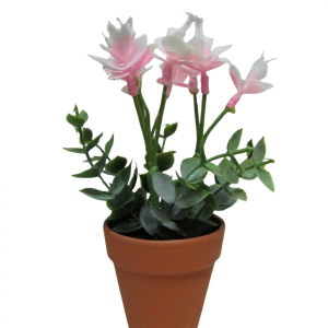 ORQUIDEAS ROSADAS CON MACETA TERRACOTA