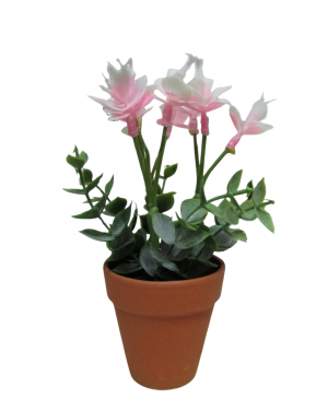 ORQUIDEAS ROSADAS CON MACETA TERRACOTA