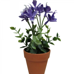 ORQUIDEAS LILA CON MACETA TERRACOTA