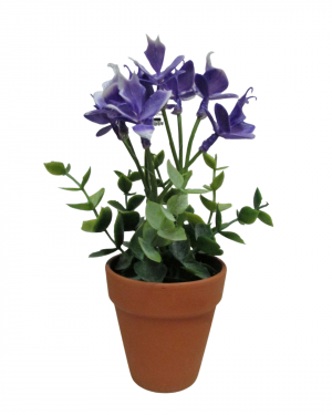 ORQUIDEAS LILA CON MACETA TERRACOTA