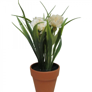 FLORES «BUTTER» , MACETA TERRACOTA