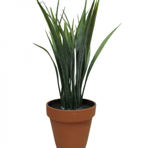 GRASS MACETA TERRACOTA