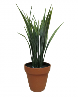 GRASS MACETA TERRACOTA