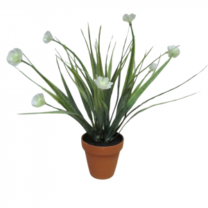 FLOR SILVESTRE BLANCA MACETA TERRACOTA