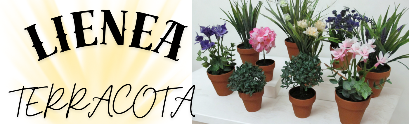 Copia de BANNER PAGINA (4)