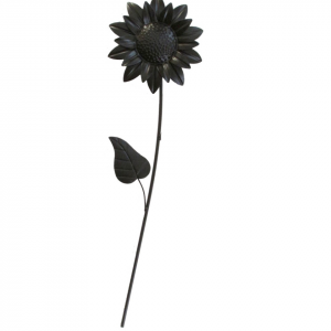 GIRASOL NEGRO PARED