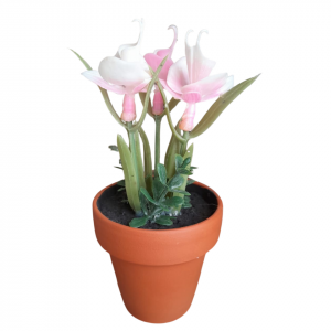 ORUIDEA MINI ROSADA MACETA TERRACOTA