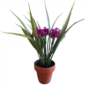 FLORES SILVESTRES PURPURA MACETA TERRACOTA