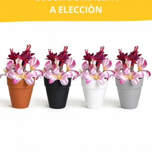 MACETA Nº1 COMBINADA ROSA Y BORDO