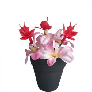 MACETA Nº3 COMBINADA ROSA Y ROJO